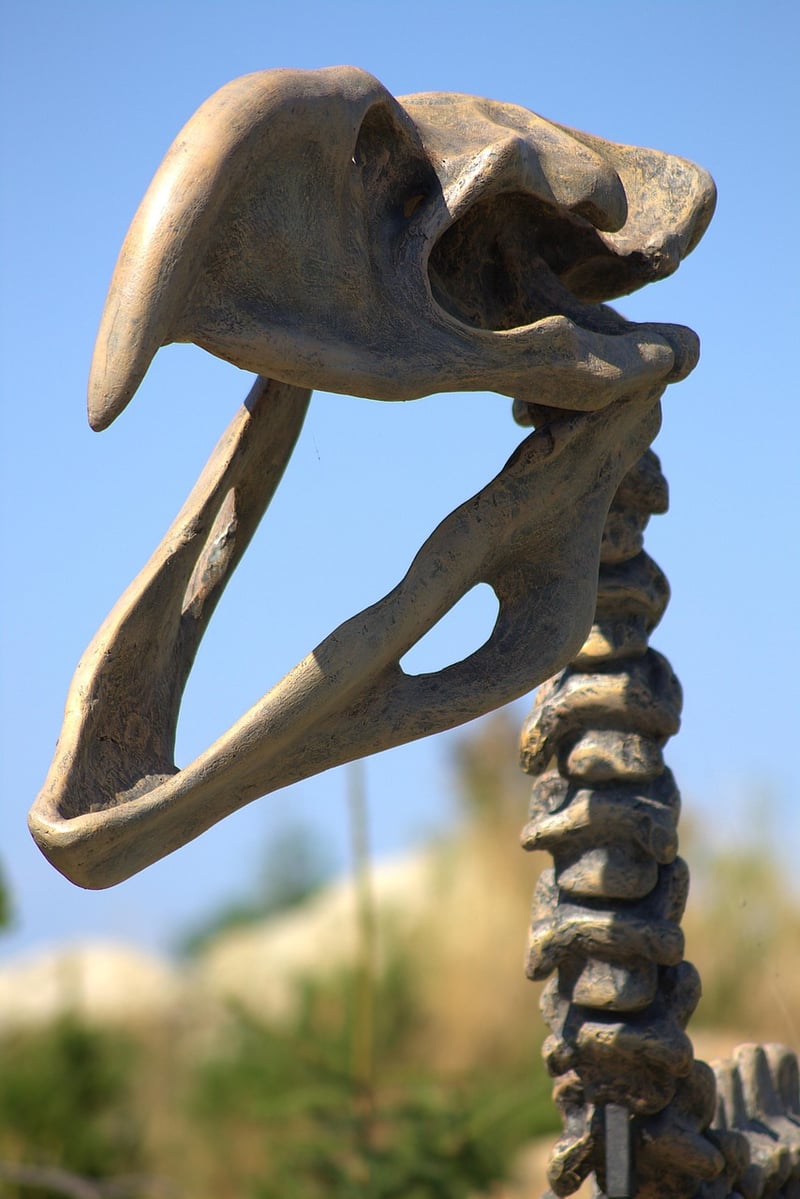 Morrison Formation, USA